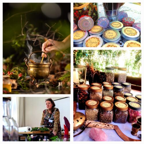 Seminar Naturschätze 17.10.26 Herbst / Winter